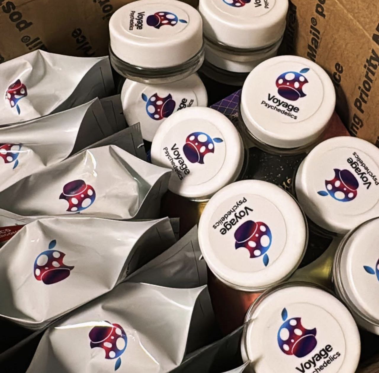 Voyage MDMA | voyage psychedelics | voyage gummies | voyage chocolate